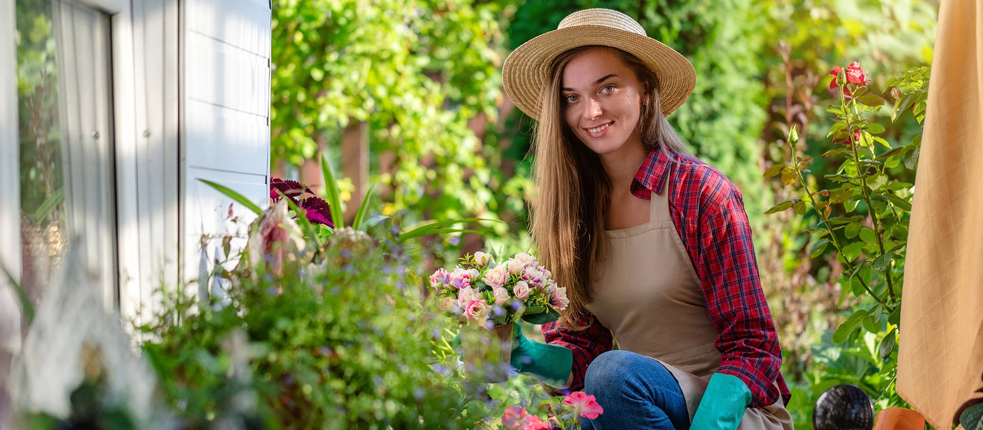 Finca Mango, Santa Marta